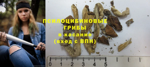 каннабис Аркадак