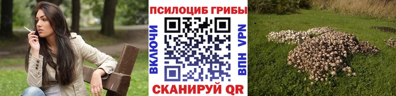 omg рабочий сайт  Бежецк  Галлюциногенные грибы Magic Shrooms 